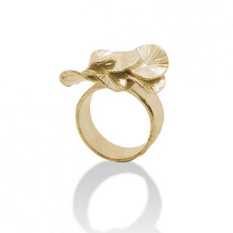 Ring - Zilver | Onno