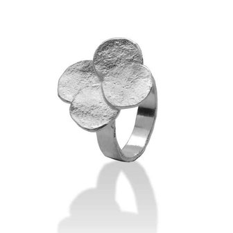 Ring - Zilver | Onno