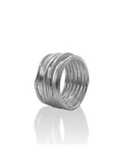 Ring - Zilver | Onno