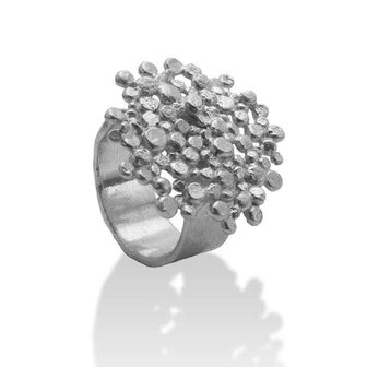 Ring - Zilver | Onno