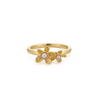 Ring - Zilver | 24Kae