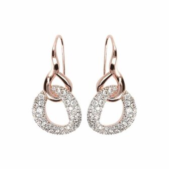 Oorbellen - 18 kt Verguld &reg; | Bronzallure