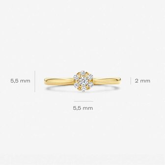 Ring - 14 kt | Blush