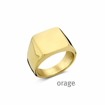 Ring - Staal | Orage