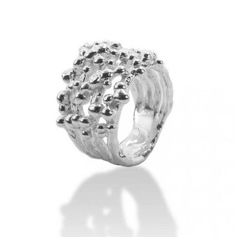 Ring - Zilver | Onno