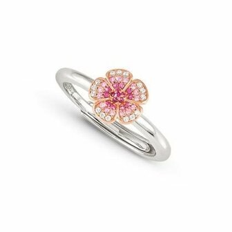 Ring - Zilver | Nomination