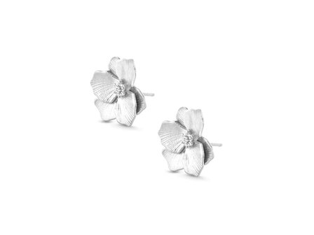 Oorbellen - Briljant Zilver | Diamanti per Tutti