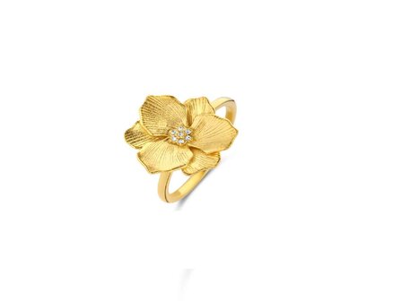 Ring - Briljant Zilver | Diamanti per Tutti
