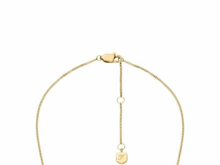 Collier - Staal | Fossil