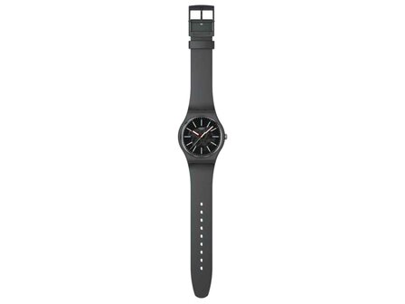 Uurwerk - Swatch