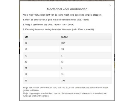 Armband - Staal/Leder | Gemini