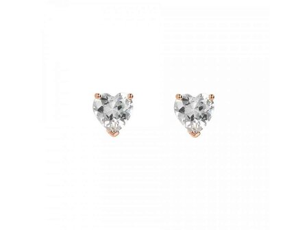 Oorbellen - 18 kt Verguld &reg; | Bronzallure