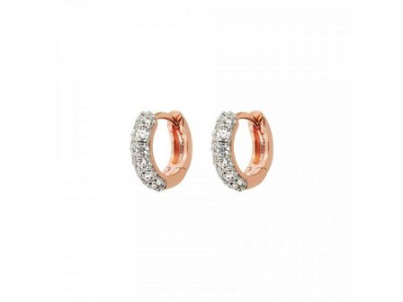 Oorbellen - 18 kt Verguld &reg; | Bronzallure