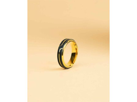 Ring - Titanium | Gemini