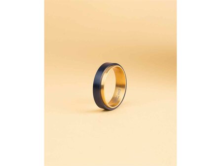 Ring - Titanium | Gemini