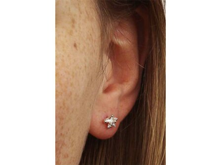 Oorbellen - Zilver | Onno