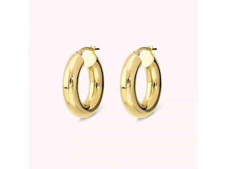 Oorbellen - 18 kt Verguld &reg; | Bronzallure