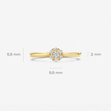 Ring - 14 kt | Blush