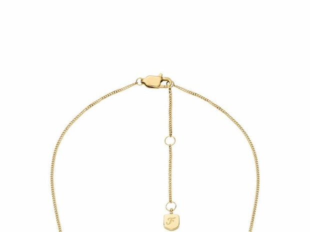 Collier - Staal | Fossil
