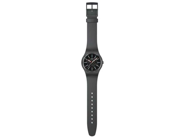 Uurwerk - Swatch