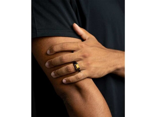 Ring - Titanium | Gemini