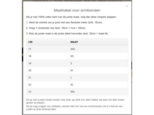 Armband - Staal/Leder | Gemini