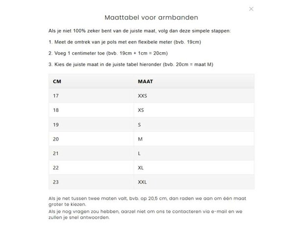 Armband - Staal/Leder | Gemini