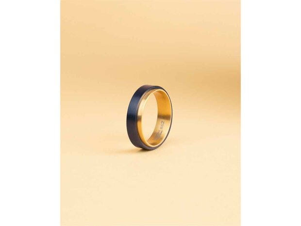 Ring - Titanium | Gemini