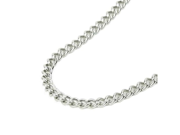 Collier - Staal | Gemini