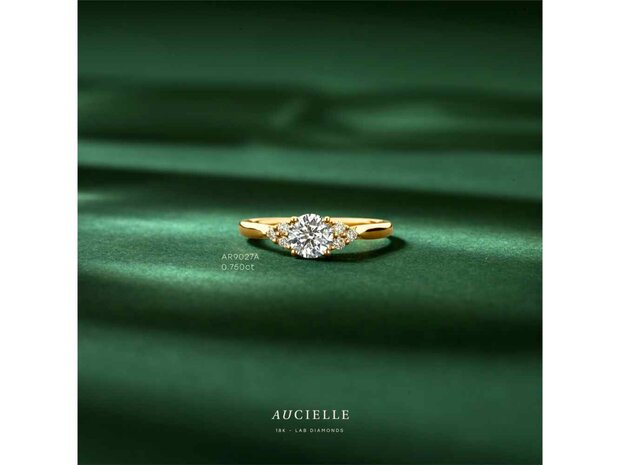 Ring - 18 kt Lab Grow Diamant | Aucielle