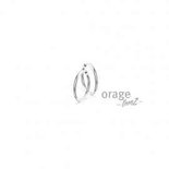Oorbellen - Staal | Orage