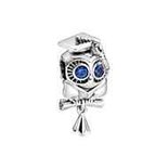Charms - Zilver | Pandora