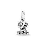 Charms - Zilver | Pandora