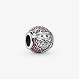 Charms - Zilver | Pandora