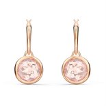 Oorbellen - Plaqué | Swarovski