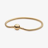 Charm Armband - Shineâ„¢ | Pandora