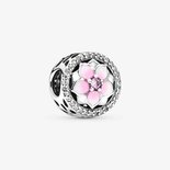 Charms - Zilver | Pandora