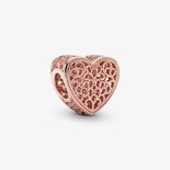 Charms - Zilver | Pandora