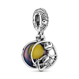 Charms - Zilver | Pandora