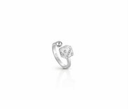 Ring - * | Guess