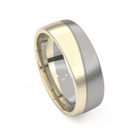 Ring - Titan - 9kt | Amici