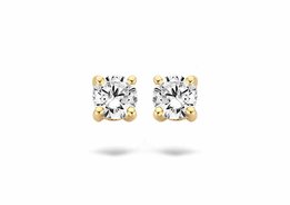 Oorbellen - 14 kt | Blush