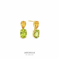 Oorbellen - 18 kt | Aucielle
