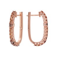 Oorbellen - 18 kt Verguld ® | Bronzallure