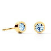 Oorbellen - Staal | Coeur de Lion