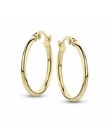 Oorbellen - 14kt/Ag | Fjory