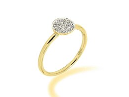 Ring - Briljant 18kt | Ma Vie en Rose