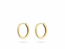 Oorbellen - 18 kt | Swing