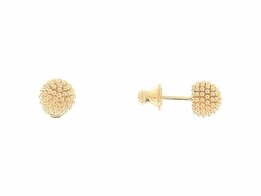 Oorbellen - Zilver | Pesavento