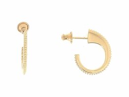 Oorbellen - Zilver | Pesavento